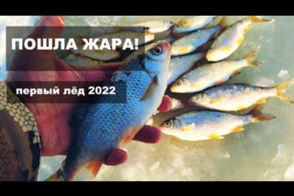 Ссылка кракен сайт зеркало