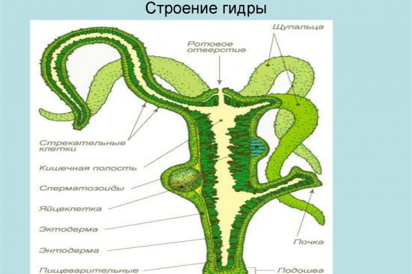 Спрут мега кракен