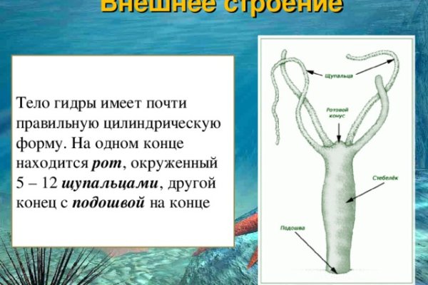 Кракен shop
